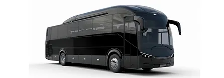 mini bus service dallas
